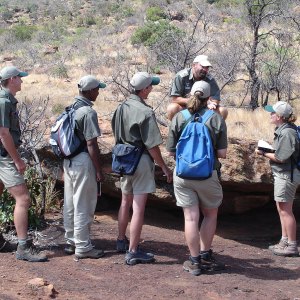 Field lessons, 2005