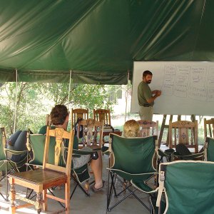 The lessons tent, 2006