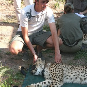 Frederick-and-a-cheetah