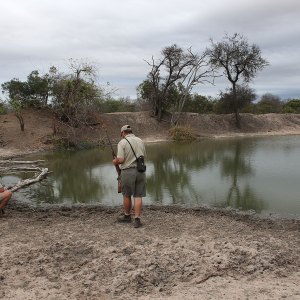 Scouting-for-tracks,-2010