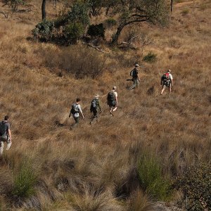 Tracking-and-trekking,-2010,-Waterberg