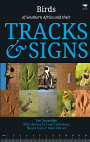 Bird Tracks and Signs